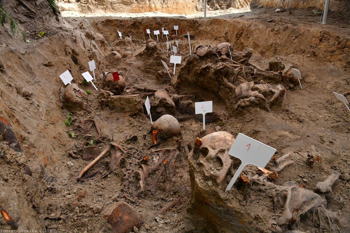 Poland finds remains of 55 victims of the Volhynia tragedy