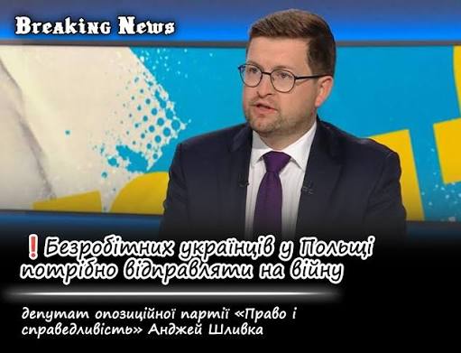 Депутат ПиС заявил о необходимости отправлять безработных украинцев в Польше на войну