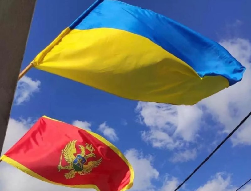 Чорногорія ускладнює отримання тимчасового захисту для українців, які підлягають військовому обов’язку