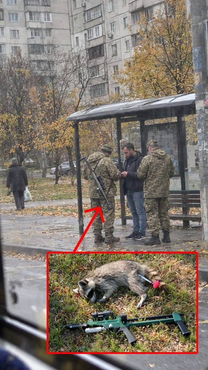Харков: у сотрудника ТЦК обнаружена ветеринарная ружьё для седативных дротиков