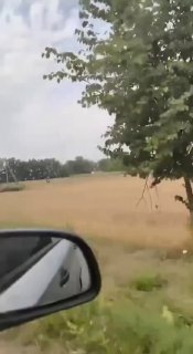 In Lviv region near Lviv a new “busification” – TCC forces go hunting