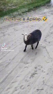 Доброго ранку, моя Україна