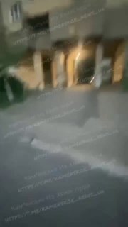 🚨 Чергові кадри силової мобілізації в Кам’янському 🤯