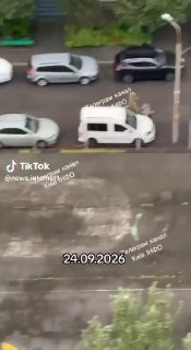 Зміг утекти від шакалів!
