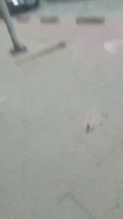 🚨 Львів. Поліція та ТЦК посеред дороги заблокували вантажівку й забрали водія 🤯