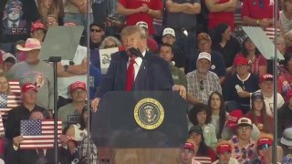 Trump plans to run again for U.S. presidency