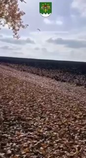 Khmelnytskyi region resident crosses Moldova border on paramotor